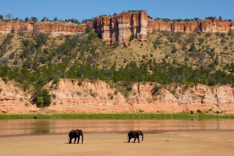 Guide to South Gonarezhou National Park