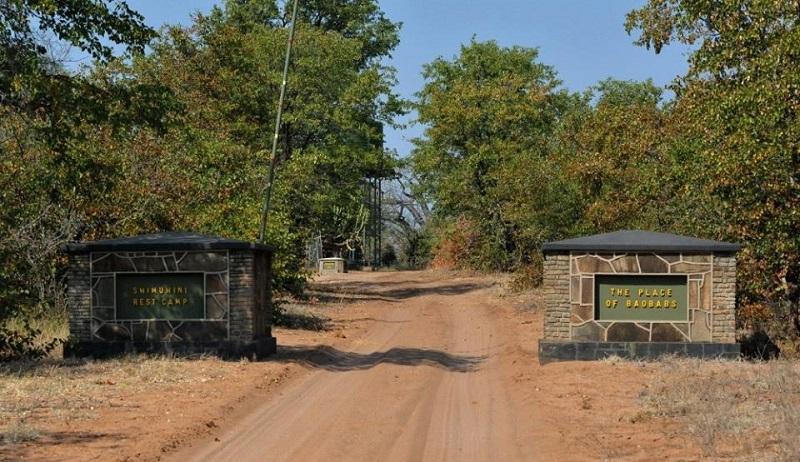 Guide to South Gonarezhou National Park