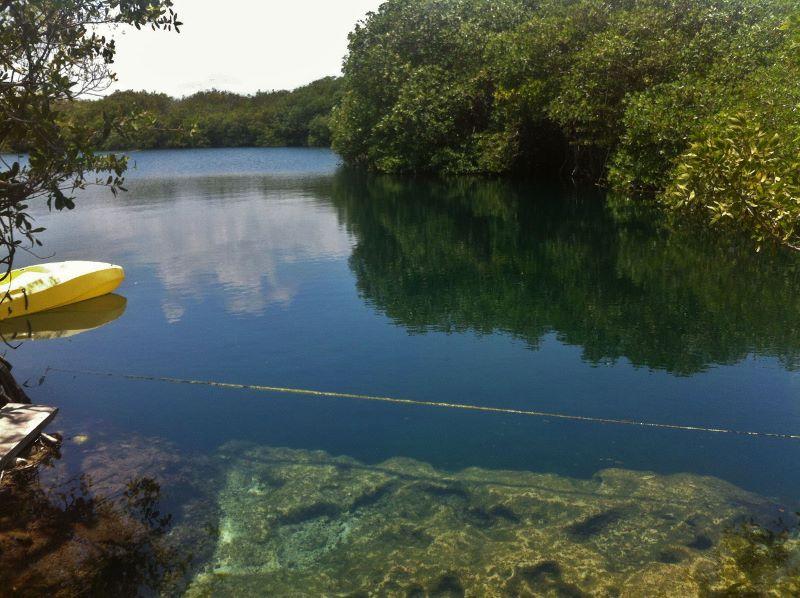 Guide to the Best Cenotes in Tulum, Mexico