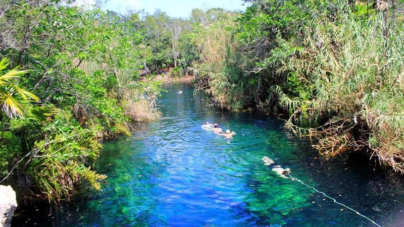 Guide to the Best Cenotes in Tulum, Mexico