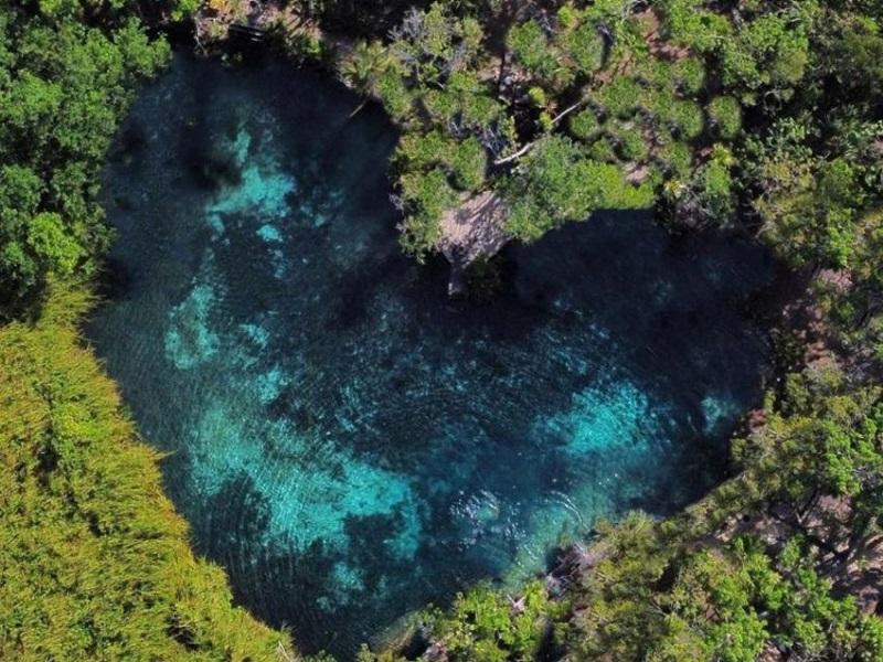 Guide to the Best Cenotes in Tulum, Mexico