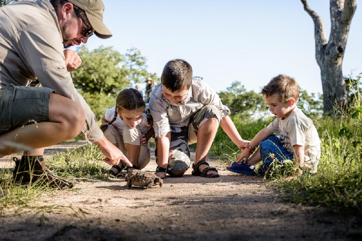 Tips on how to go for a safari with kids