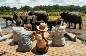 Top Off-the-beaten Experiences in Africa