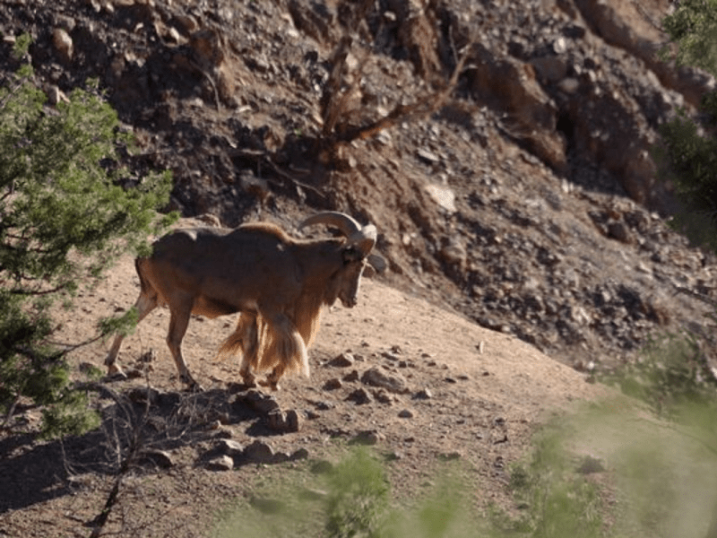 Guide to Mount Toubkal National Park