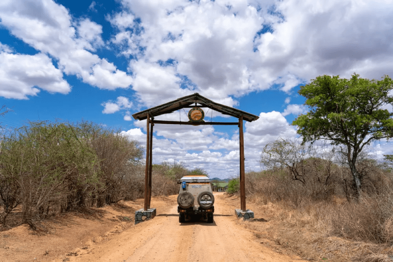 Guide to Ruaha National Park