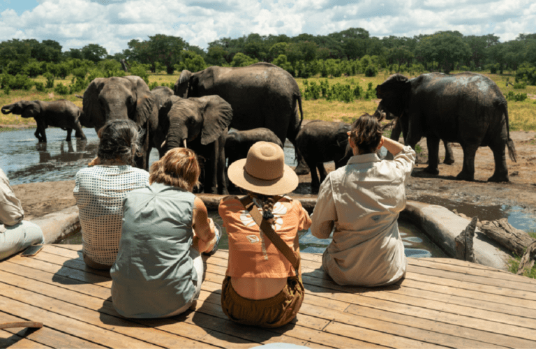 Top Off-the-beaten Experiences in Africa