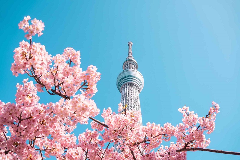 Guide to Spending a Weekend in Tokyo, Japan