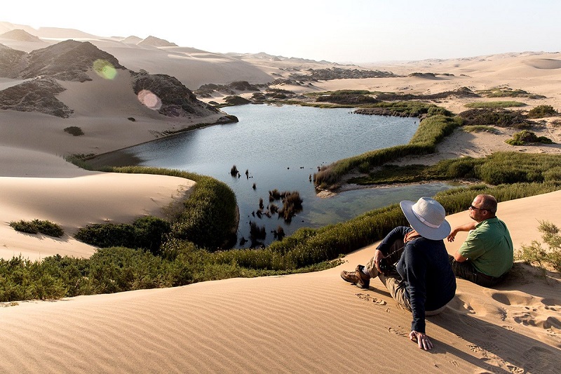 Guide to Skeleton Coast National Park