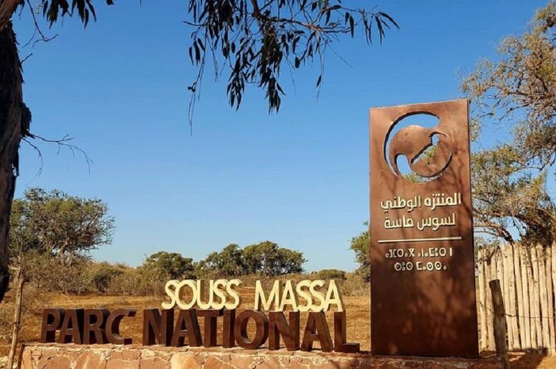 Guide to Souss-Massa National Park