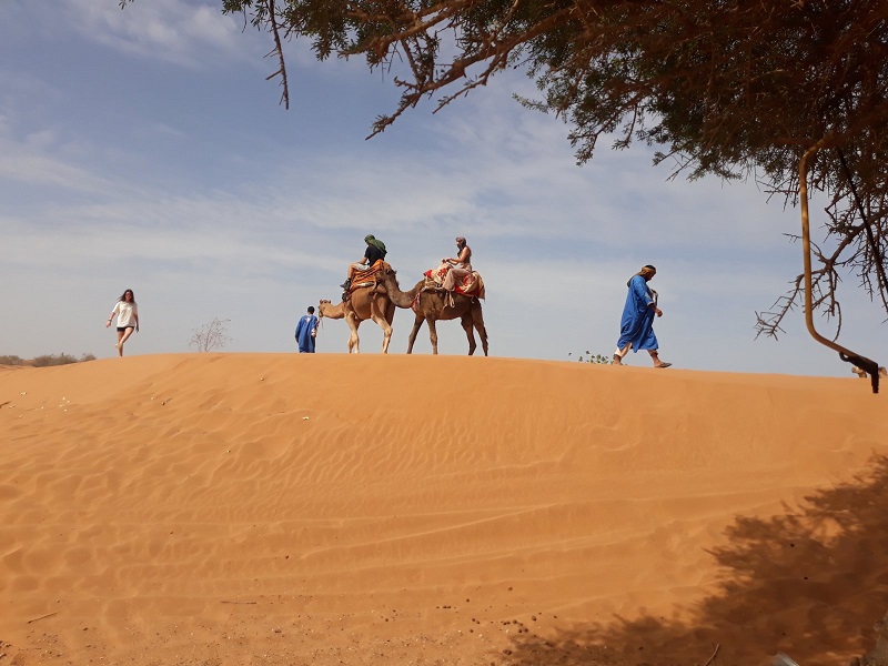 Guide to Souss-Massa National Park