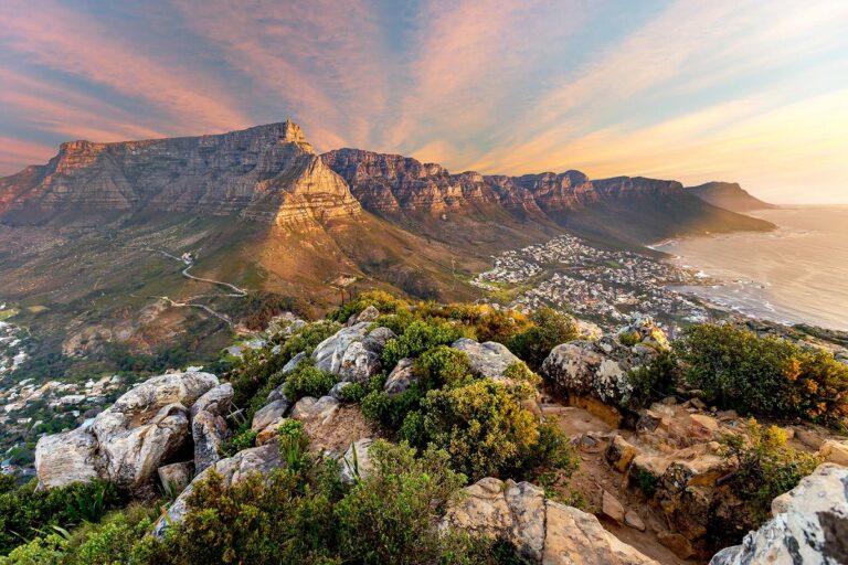 Guide to Table Mountain National Park