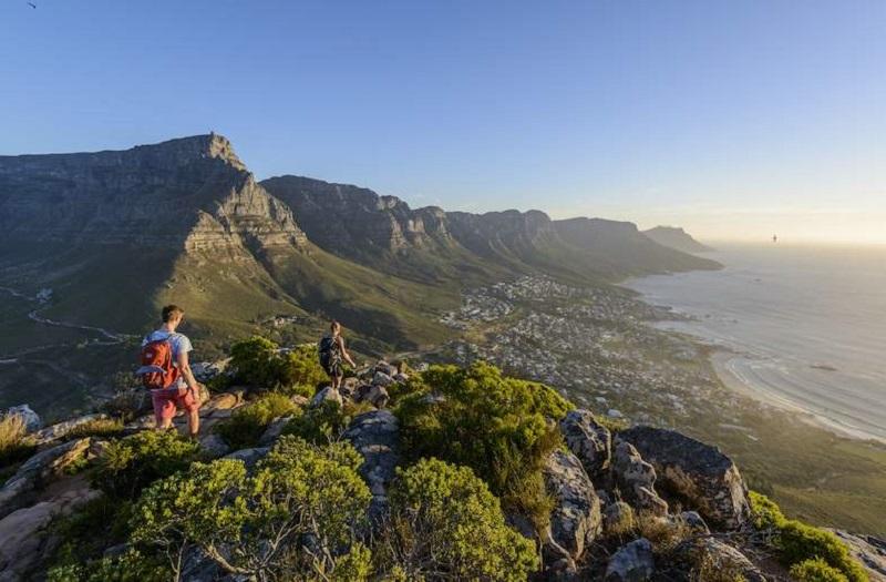 Guide to Table Mountain National Park