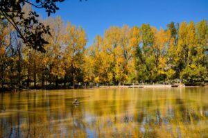 Guide to Ifrane National Park