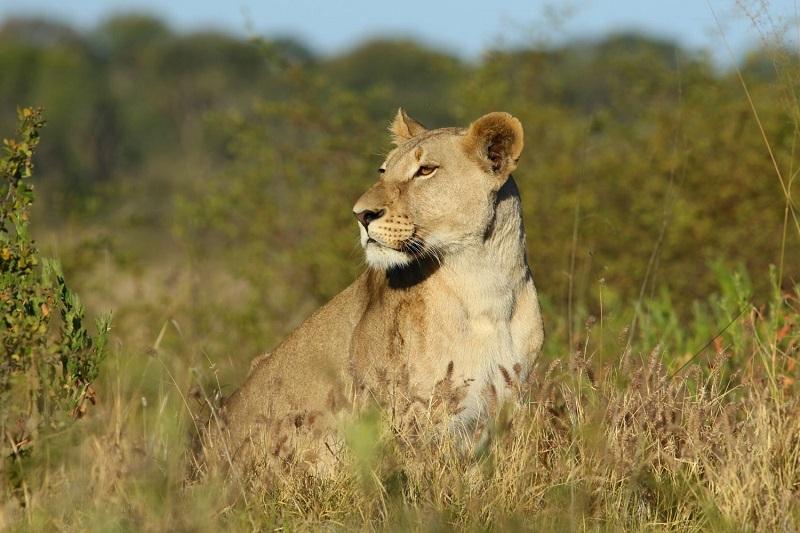 Guide to Khaudum National Park