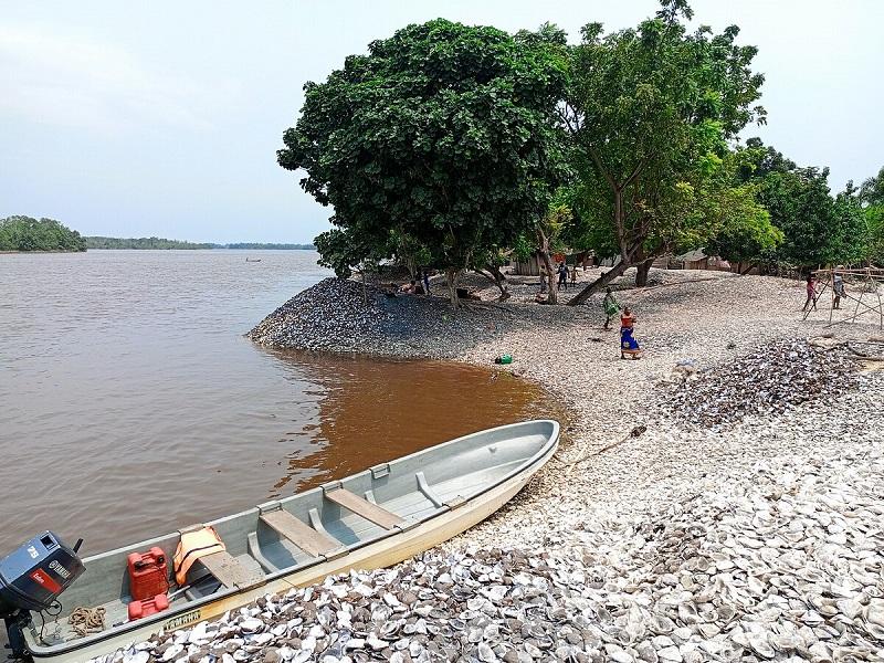 Guide to Mangroves National Park