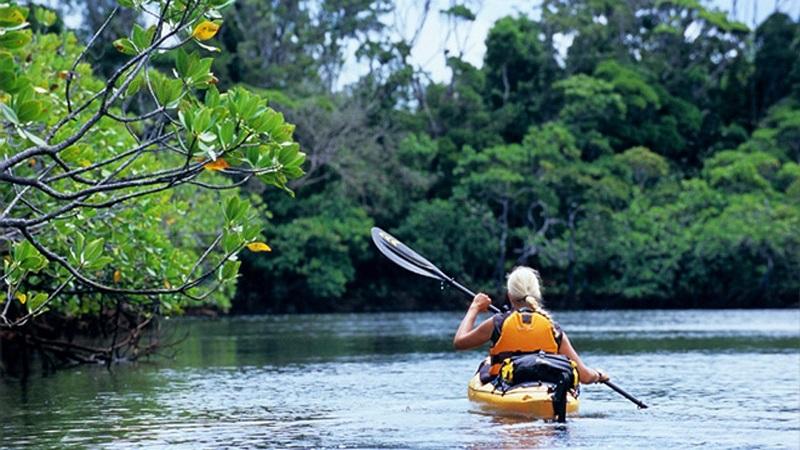 Guide to Masoala National Park