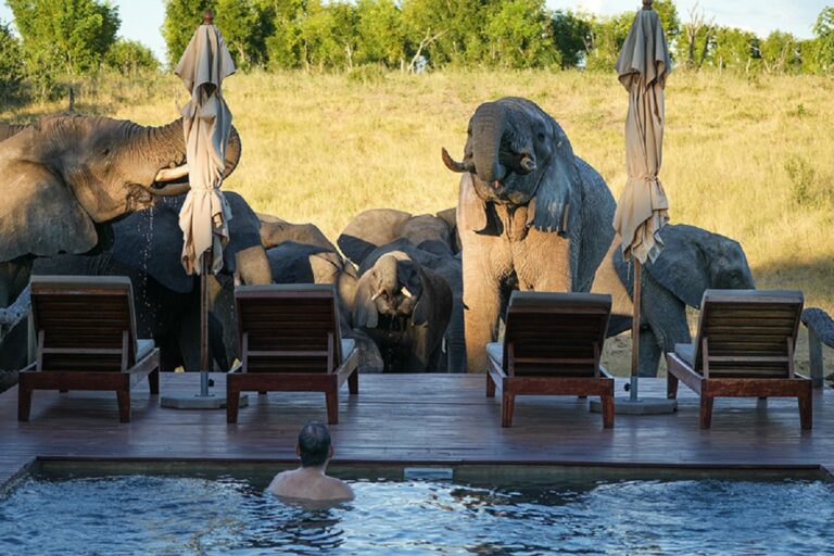 Best Safari Lodges in Africa