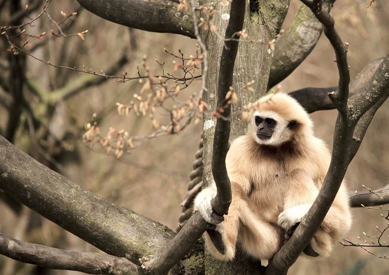 Guide to Erawan Plateau National Park