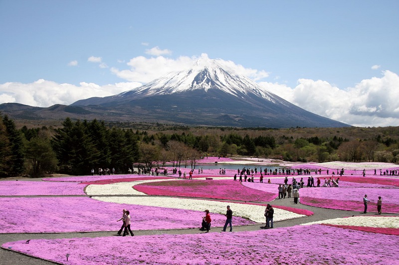 Guide to Fuji-Hakone-Izu National Park