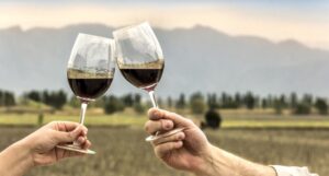 Best Wine Destinations in South America