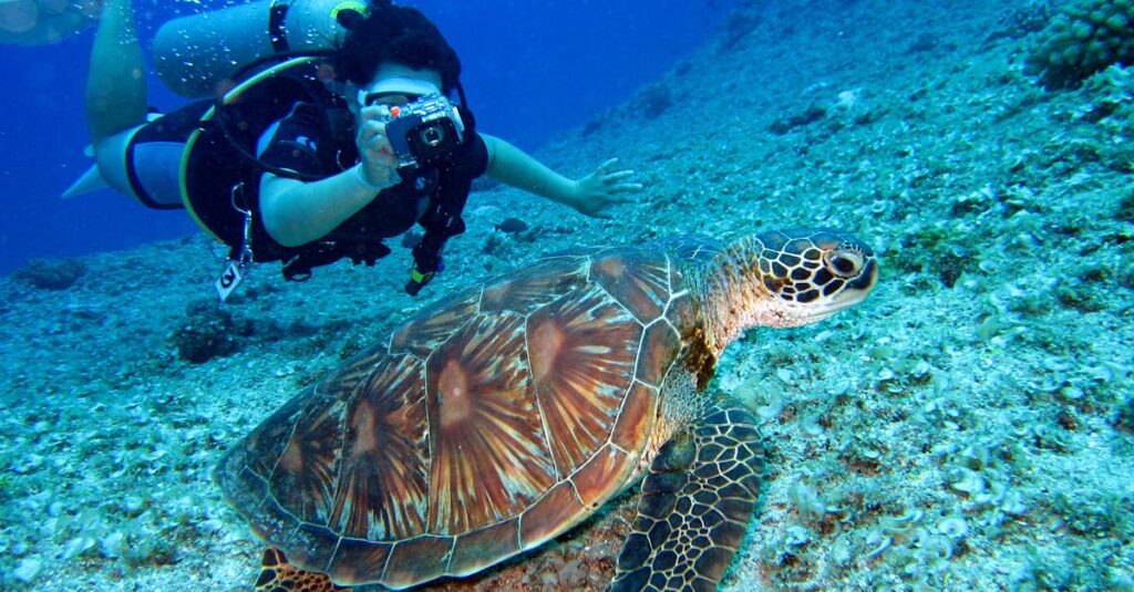 Guide to Hundred Islands National Park