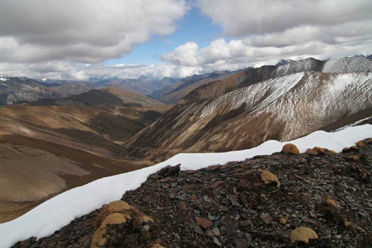 Guide to Jigme Dorji National Park