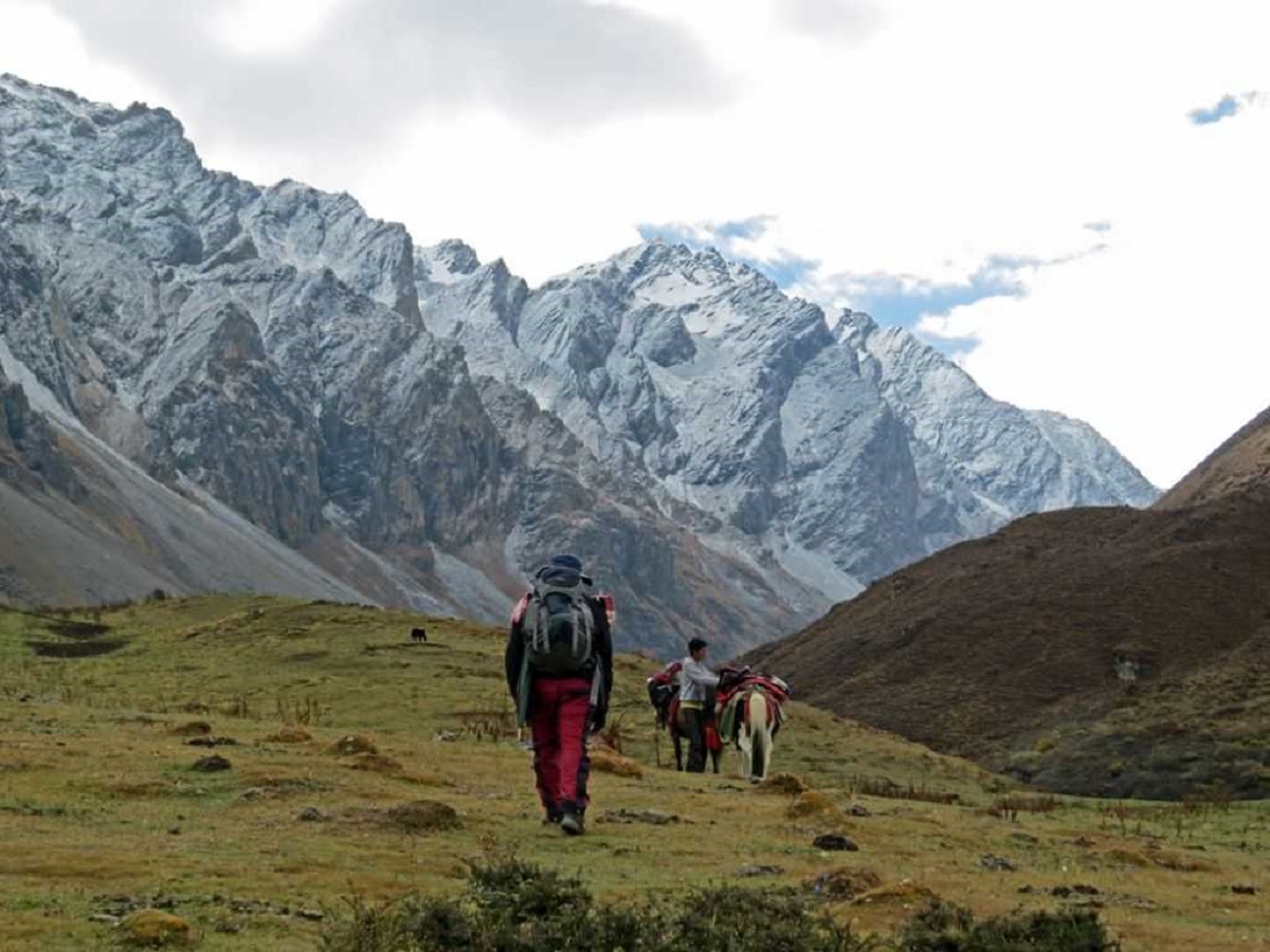 Guide to Jigme Dorji National Park