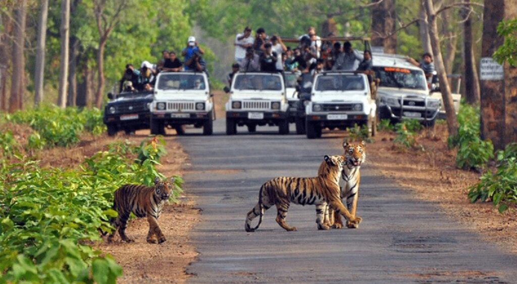 Guide to Jim Corbett National Park