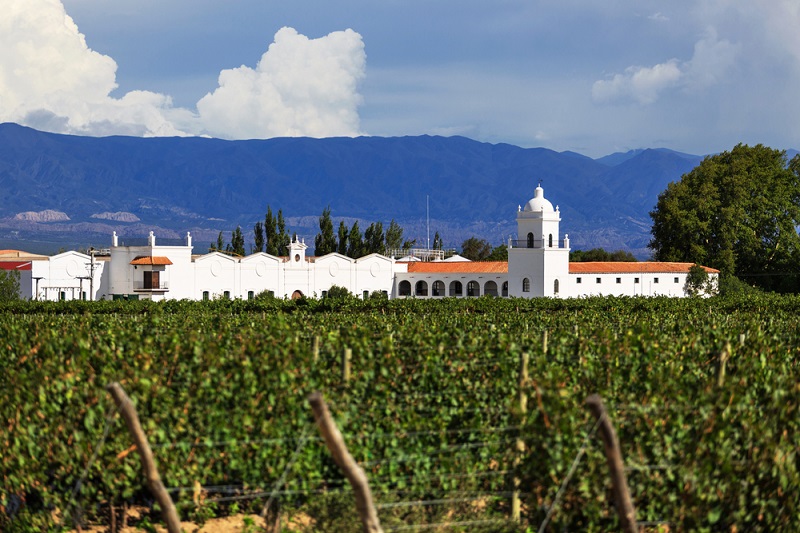 Best Wine Destinations in South America