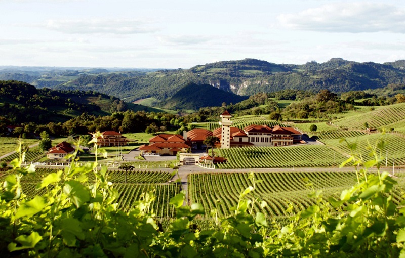 Best Wine Destinations in South America