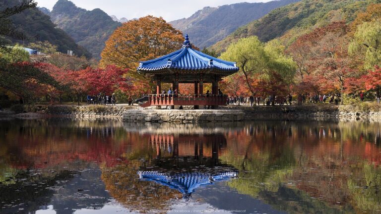 Guide to Naejangsan National Park