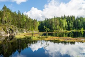 Guide to Nuuksio National Park