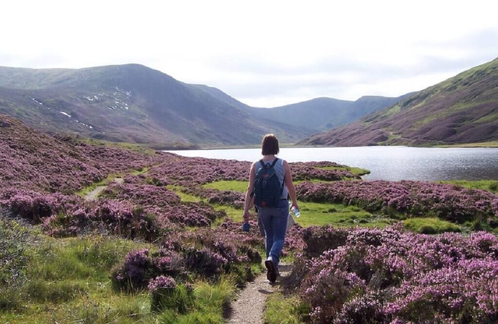 Guide to Cairngorms National Park