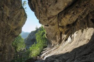 Guide to Domogled Valea Cernei National Park