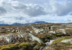 Guide to Dovrefjell Sunndalsfjella National Park