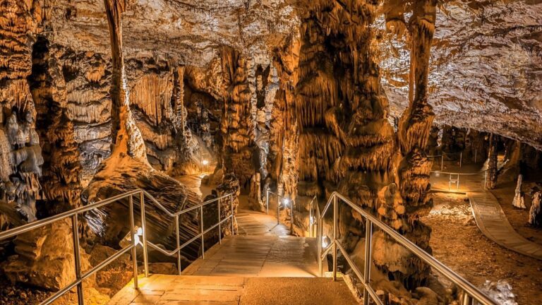 Guide to Aggtelek National Park