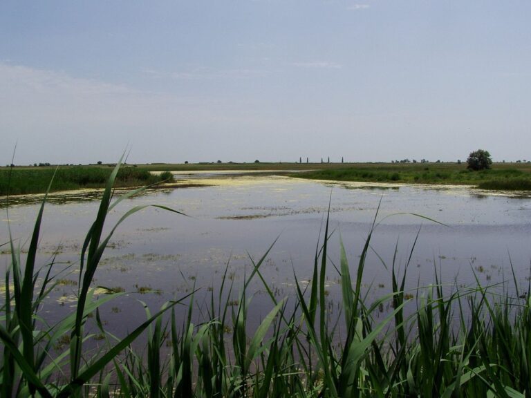 Guide to Neusiedler See-Seewinkel National Park