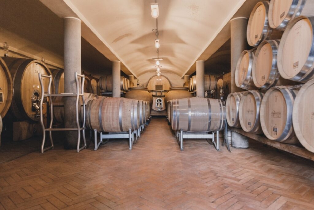 - FIELD NOTES Best Wine Destinations in Europe