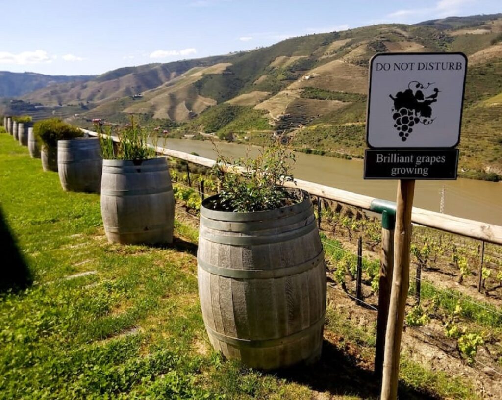 - FIELD NOTES Best Wine Destinations in Europe