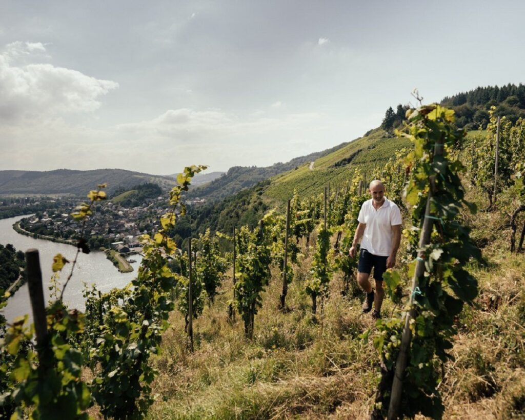 - FIELD NOTES Best Wine Destinations in Europe