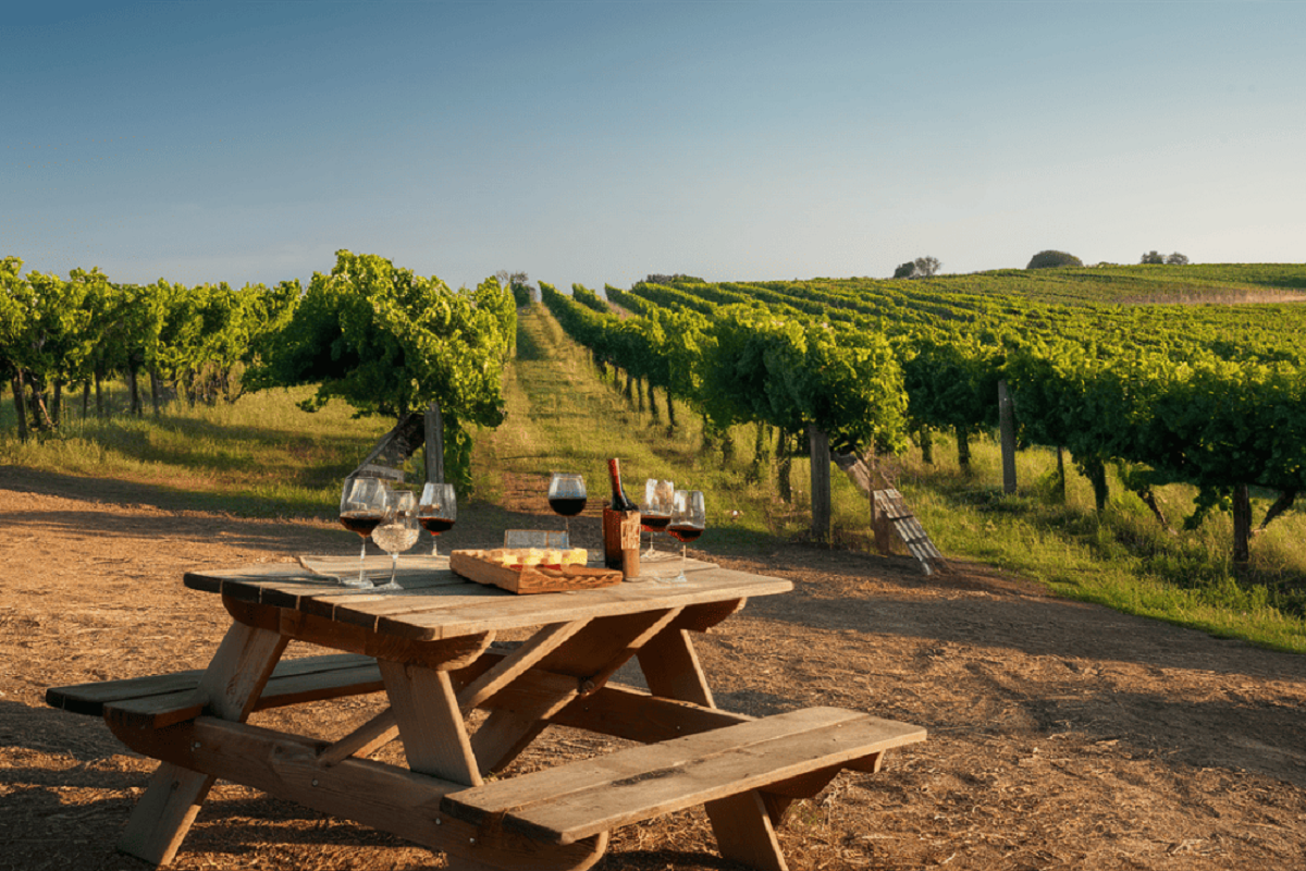 - Secret World Best Wine Destinations in Europe