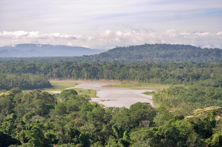 Guide to Madidi National Park