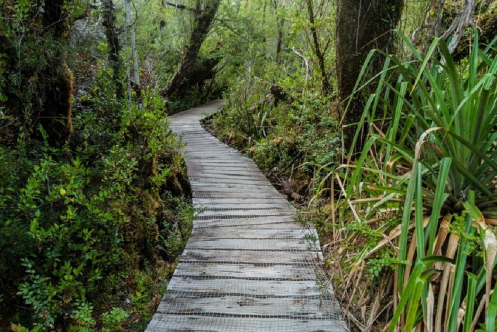 Guide to Chiloe National Park