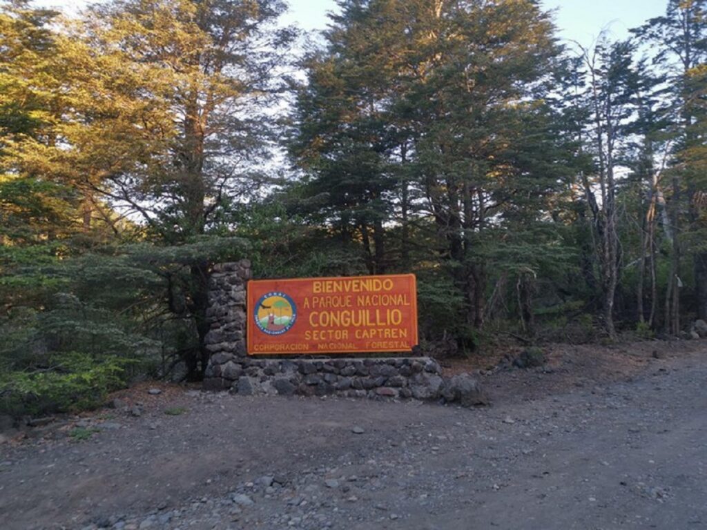 Ultimate Guide To Chile s Conguillio National Park Ultimate Guide To Chile s Conguillio National Park