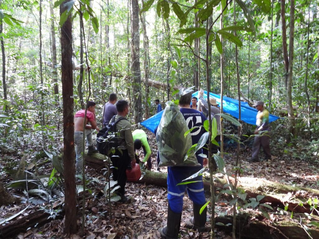 Guide to Tumucumaque National Park
