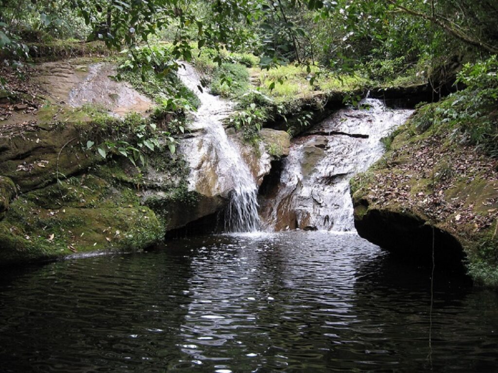 - Secret World Guide to Amboro National Park