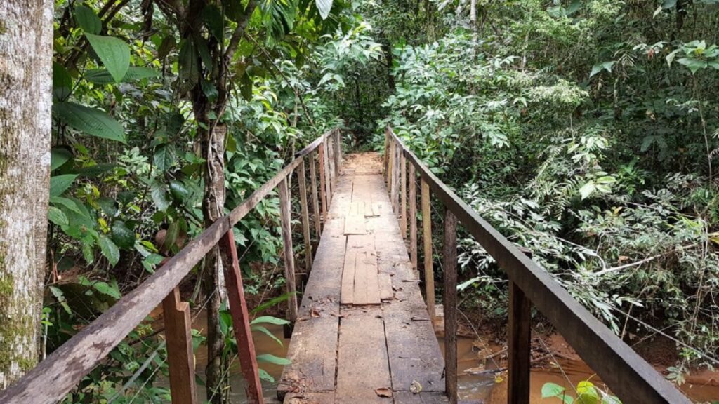 - FIELD NOTES Guide to Chapada dos Guimarães National Park