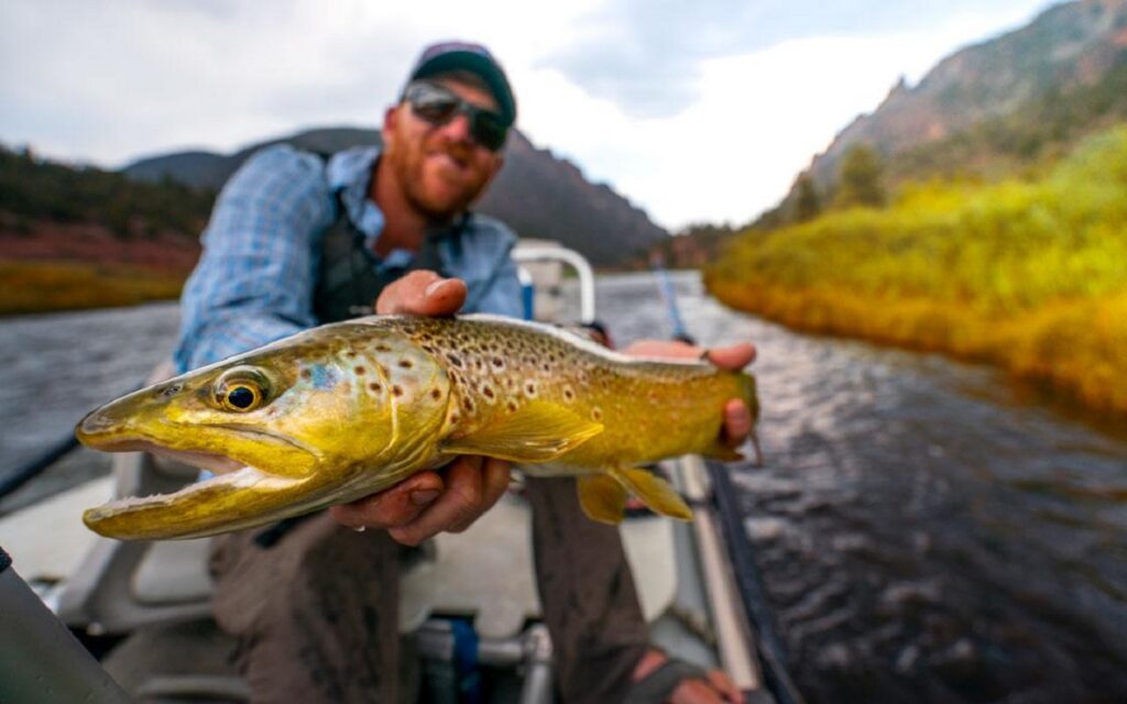 Best Fishing Destinations in the US