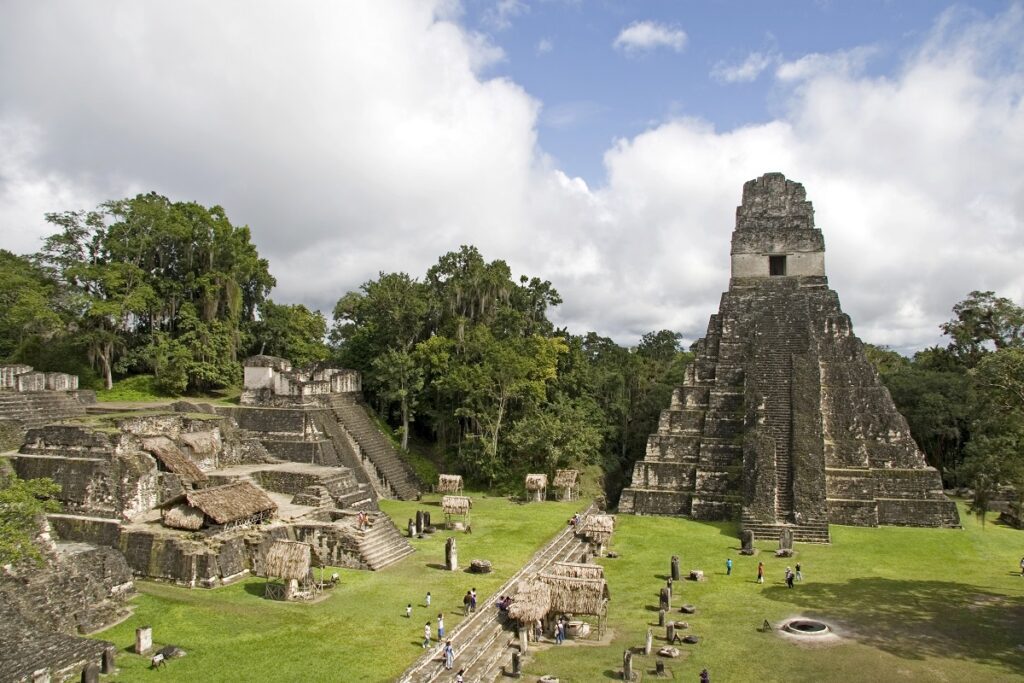 - FIELD NOTES Tikal National Park, Guatemala