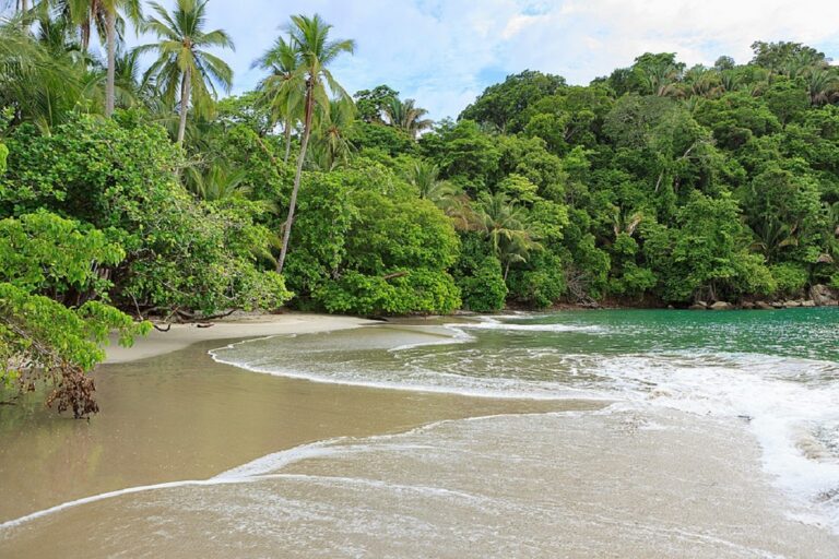 Guide to Manuel Antonio National Park